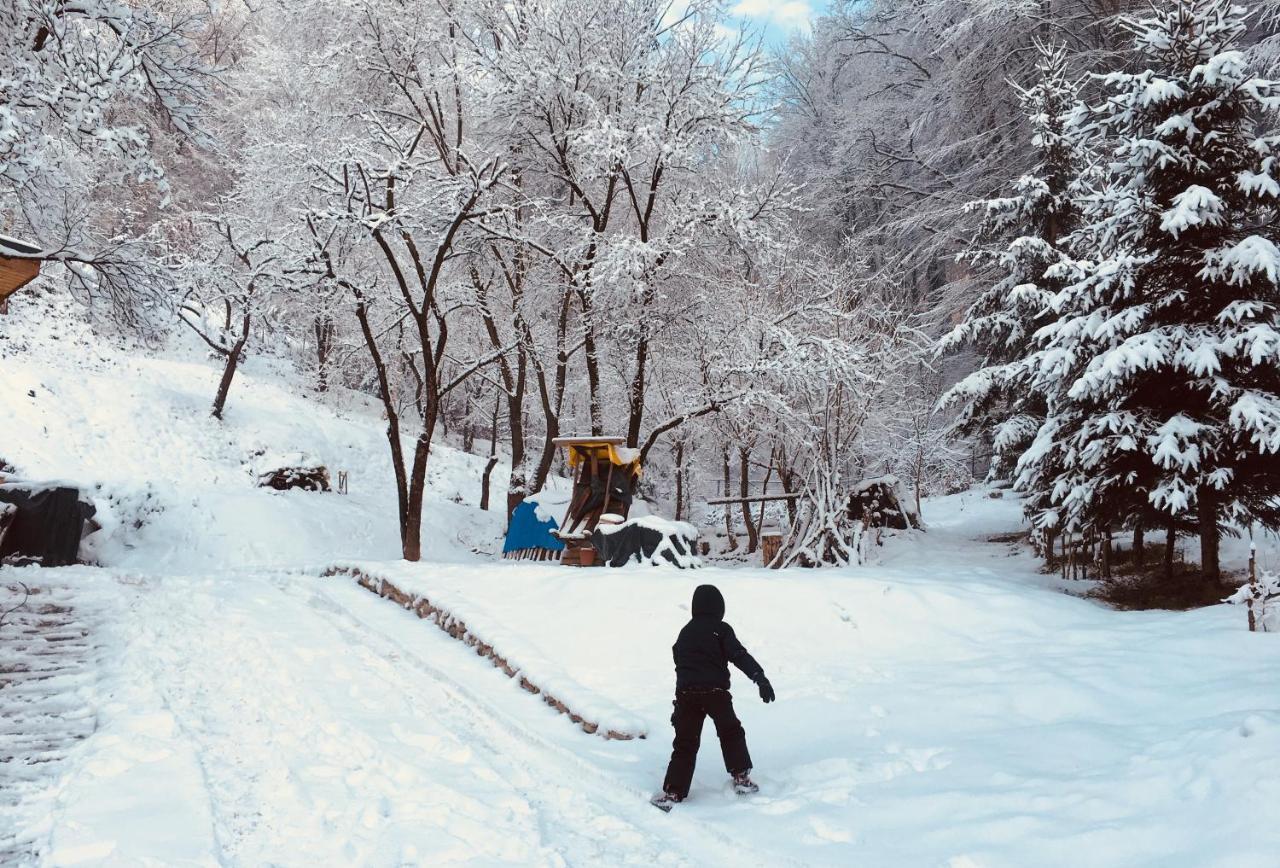 Soho Lodge Rasnov Εξωτερικό φωτογραφία