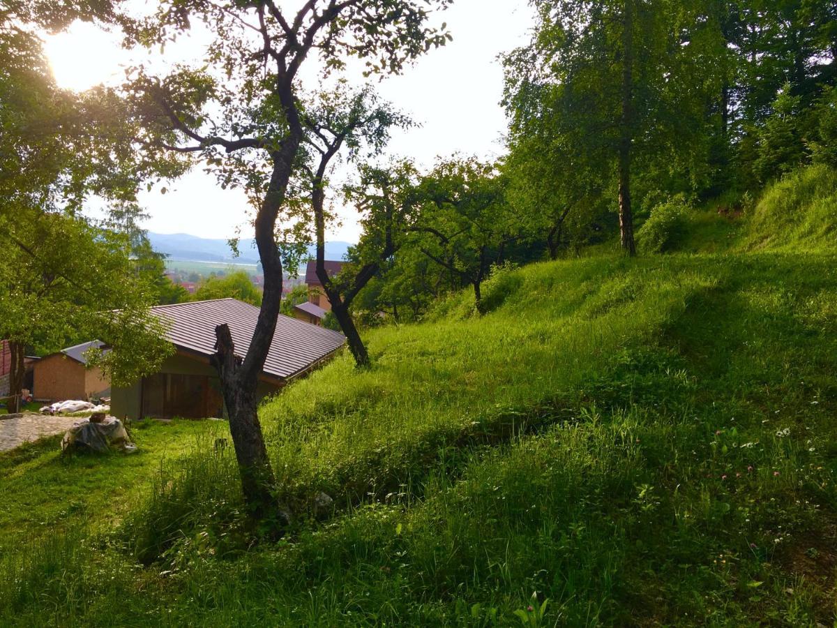 Soho Lodge Rasnov Εξωτερικό φωτογραφία