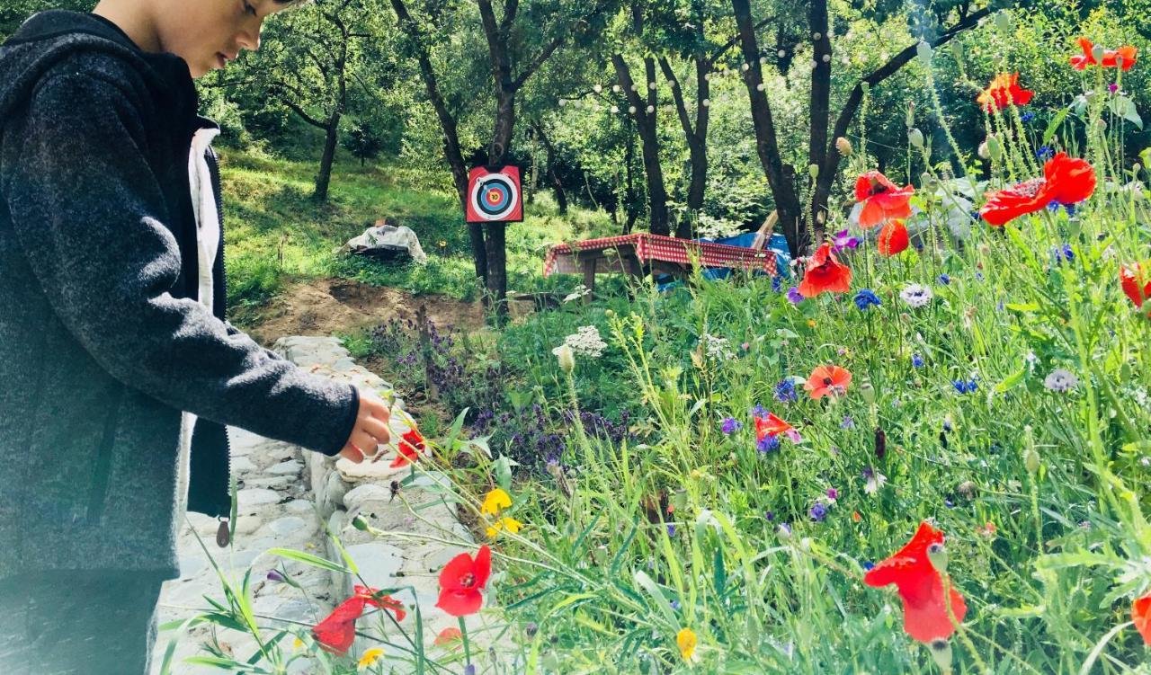 Soho Lodge Rasnov Εξωτερικό φωτογραφία