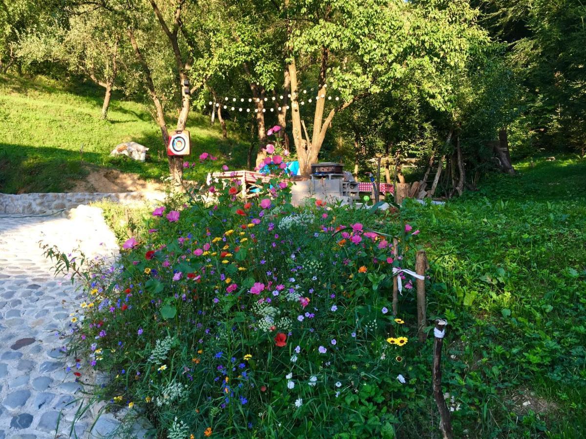 Soho Lodge Rasnov Εξωτερικό φωτογραφία