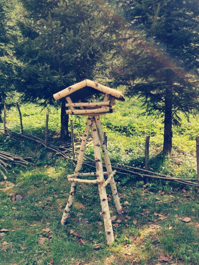 Soho Lodge Rasnov Εξωτερικό φωτογραφία