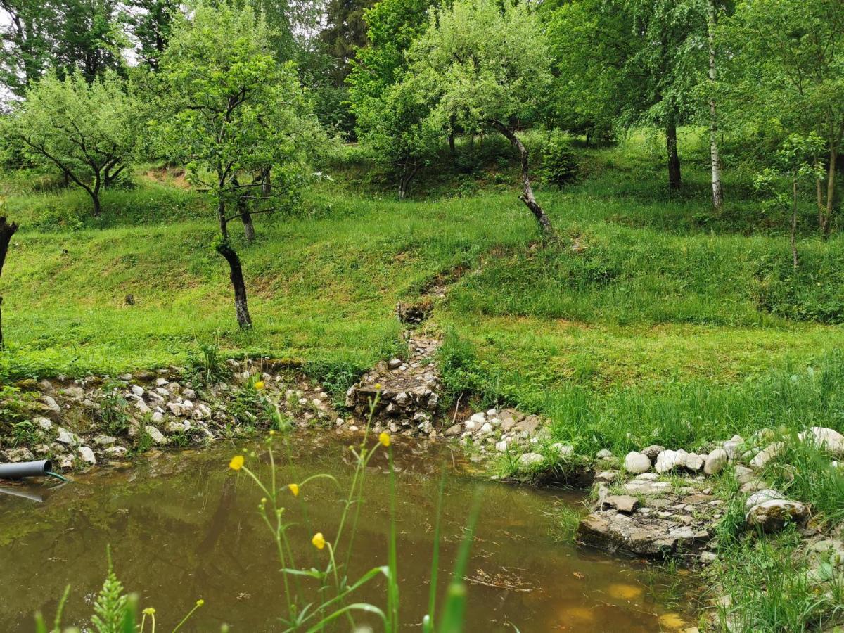 Soho Lodge Rasnov Εξωτερικό φωτογραφία