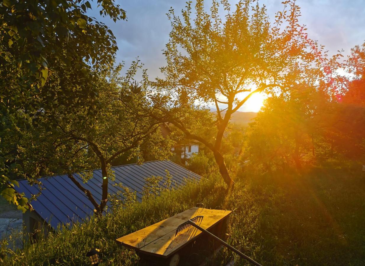 Soho Lodge Rasnov Εξωτερικό φωτογραφία