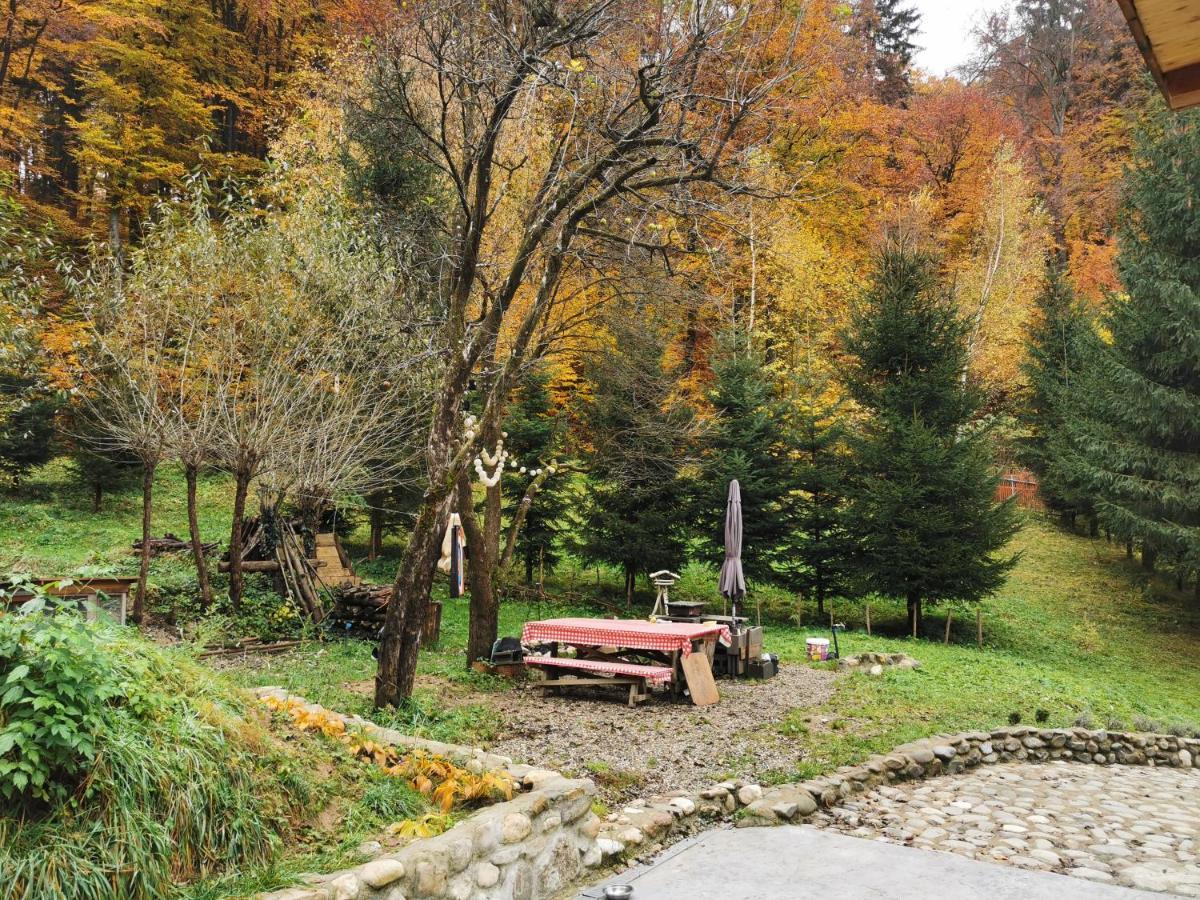 Soho Lodge Rasnov Εξωτερικό φωτογραφία