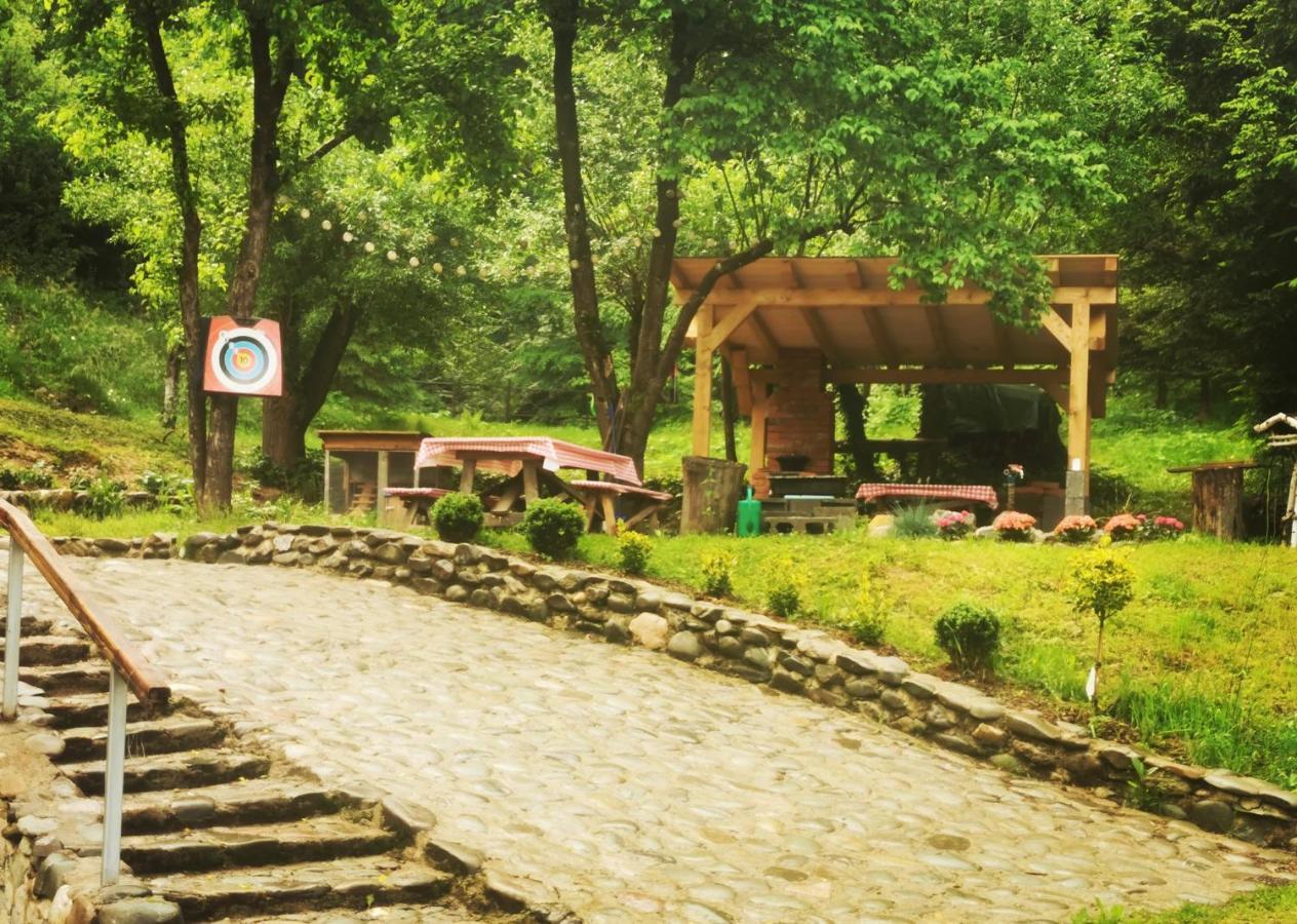 Soho Lodge Rasnov Εξωτερικό φωτογραφία