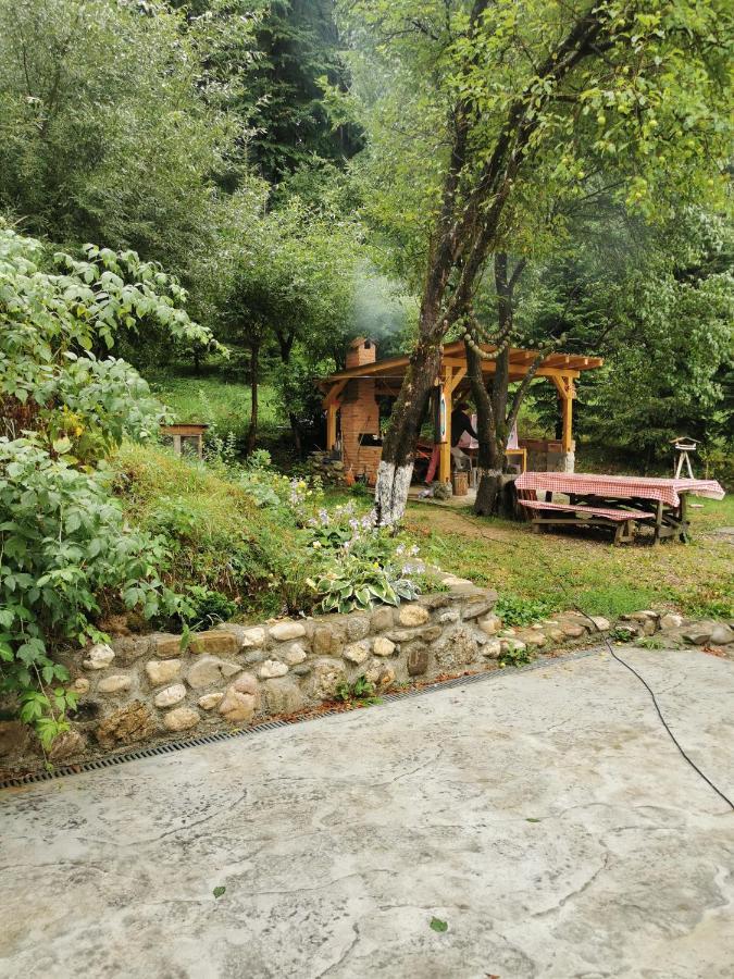 Soho Lodge Rasnov Εξωτερικό φωτογραφία