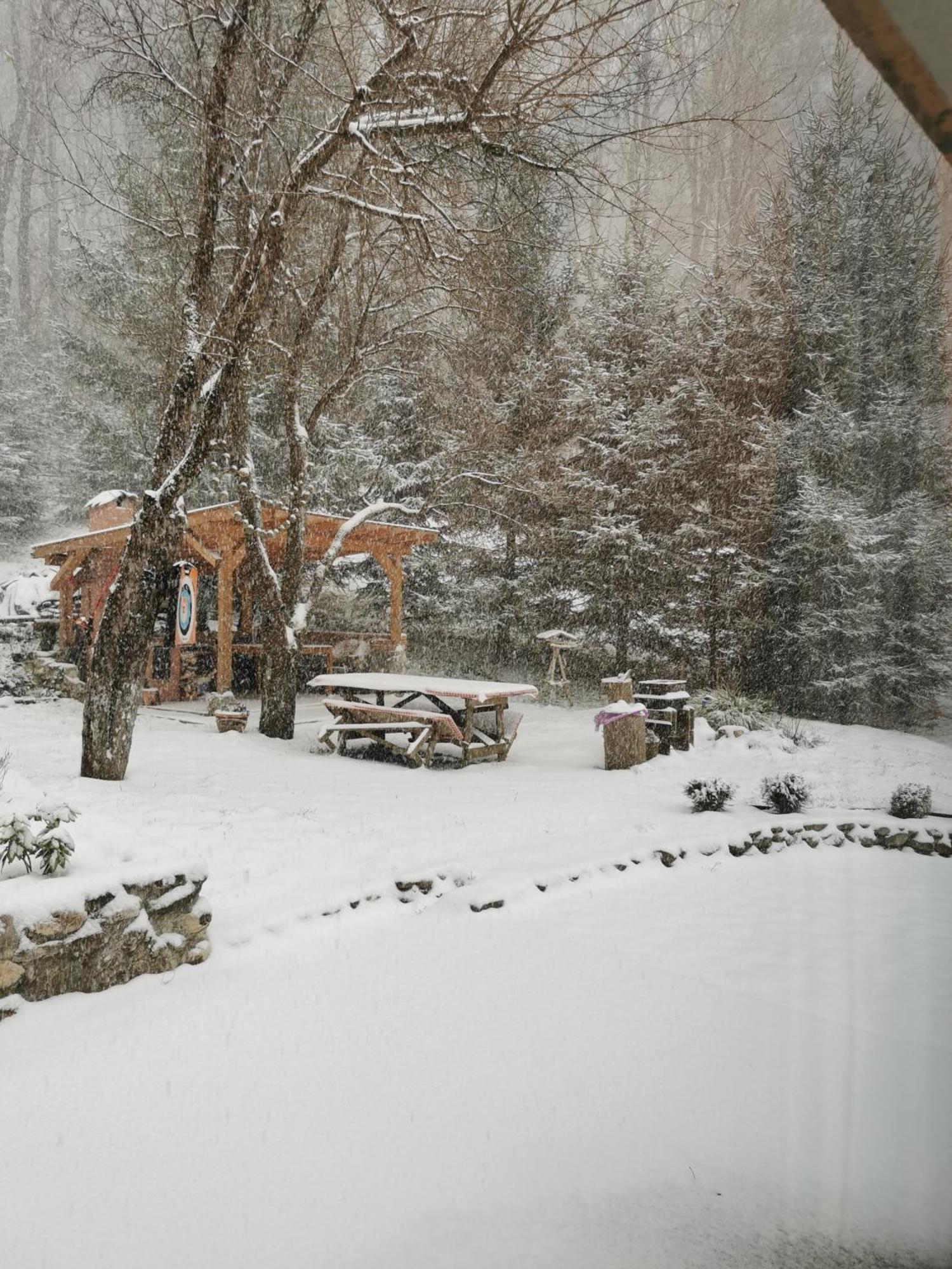Soho Lodge Rasnov Εξωτερικό φωτογραφία