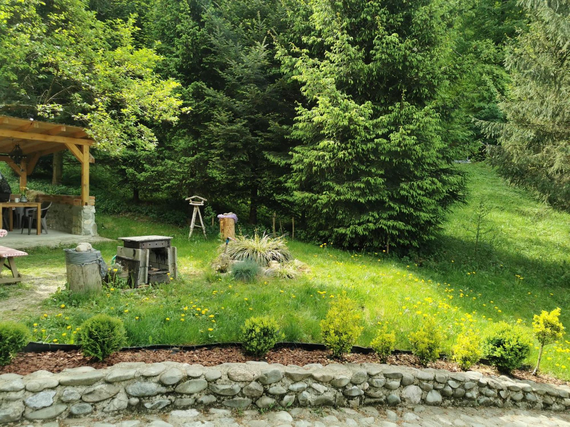 Soho Lodge Rasnov Εξωτερικό φωτογραφία